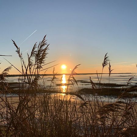 La Villa Des Trois Pins Andernos-les-Bains Bagian luar foto
