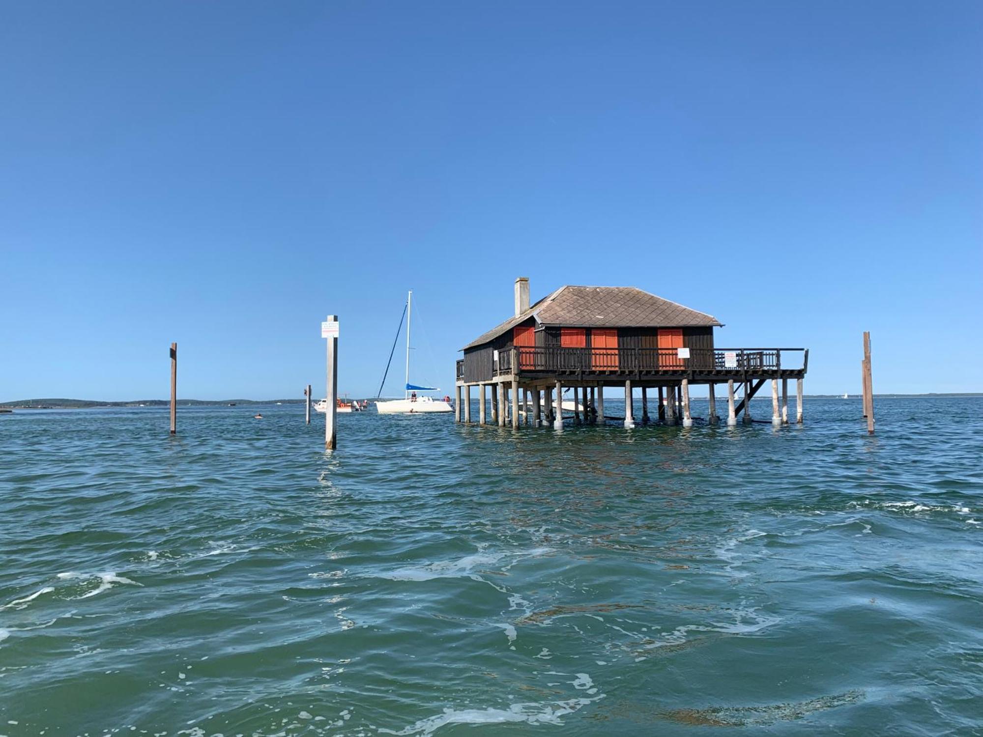 La Villa Des Trois Pins Andernos-les-Bains Bagian luar foto